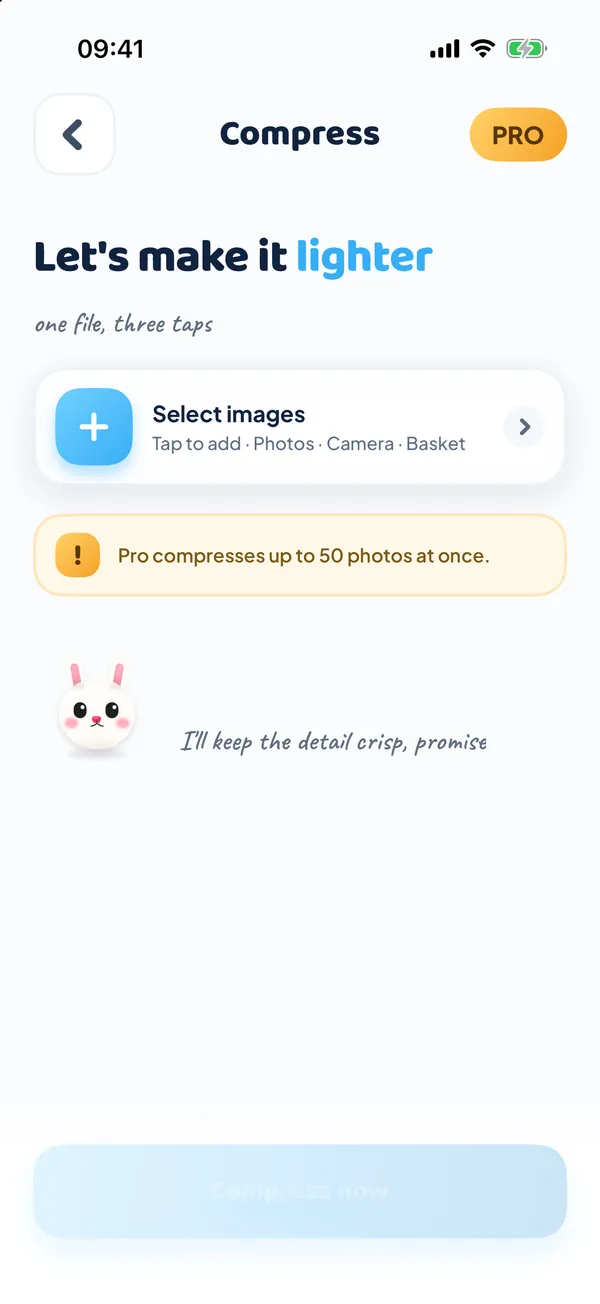 The Compress screen: select images, then compress